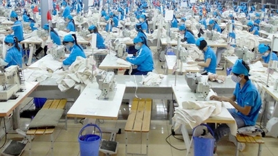 (CLO) CTCP Sản xuất Kinh doanh Xuất nhập khẩu Bình Thạnh