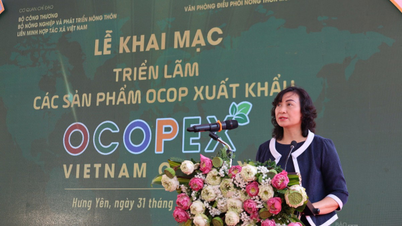 Từng bước đưa sản phẩm Việt tiếp cận thị trường quốc tế