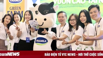 Vinamilk dẫn đầu Top 100 Nhà tuyển dụng được yêu thích nhất năm 2022