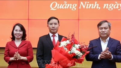 Election of Chairman of People's Council and Chairman of People's Committee of Quang Ninh province
