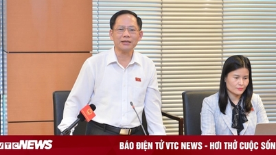 Cấp giấy chứng nhận quyền sử dụng đất, tránh hợp thức hóa sai phạm