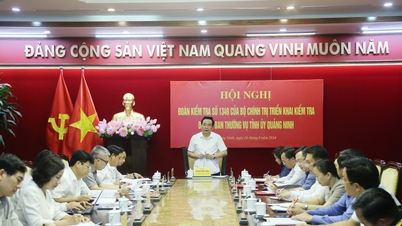 Bộ Chính trị triển khai kiểm tra đối với Ban Thường vụ Tỉnh ủy Quảng Ninh