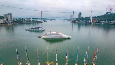 Clipper Race 2023-2024 Round the World Sailing Boats Arrive in Quang Ninh