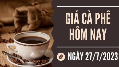 Robusta បន្តកើនឡើងនៅក្នុងទីផ្សារពិភពលោក