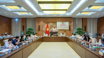 Triển khai thi hành Nghị quyết việc thực hiện chính sách, pháp luật về y tế cơ sở, y tế dự phòng.