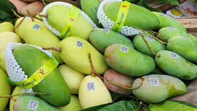 ដំណឹង​ល្អ​ដើម​ឆ្នាំ​នេះ ការ​នាំ​ចេញ​បន្លែ និង​ផ្លែ​ឈើ​សម្រេច​បាន​គោលដៅ ៧ ពាន់​លាន​ដុល្លារ