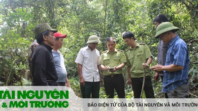 Theo chân cán bộ kiểm lâm “cắm bản”