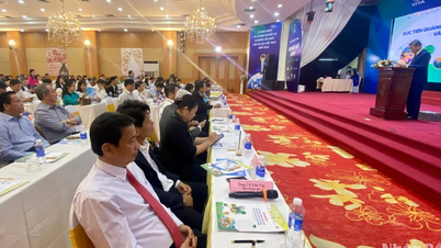 តភ្ជាប់វិស័យទេសចរណ៍ បង្កើតសន្ទុះសម្រាប់ការអភិវឌ្ឍន៍ក្នុងតំបន់ដីសណ្ដទន្លេមេគង្គ