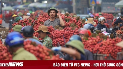 Nông dân ào ạt thồ vải thiều đi cân bán, phố phường được nhuộm đỏ ối