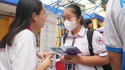 Experts "give tips" on how to effectively register for university admission