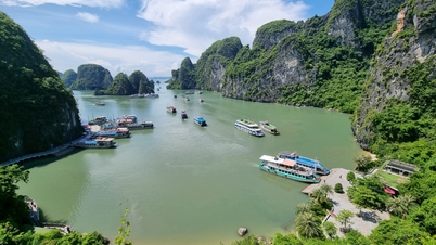 Gìn giữ môi trường di sản Vịnh Hạ Long