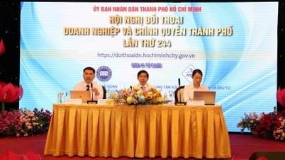 នាយកដ្ឋានគយទីក្រុងហូជីមិញនឹងសាងសង់ប្រព័ន្ធគយឌីជីថលនៅចុងឆ្នាំ 2024 ។