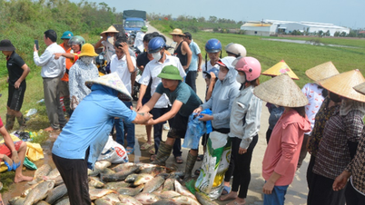 32 dự án của phụ nữ khởi nghiệp bị ảnh hưởng bởi bão lụt