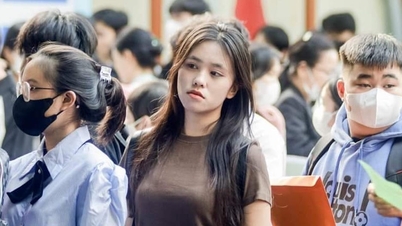 Hơn 200 trường đại học - cao đẳng được kiểm định chất lượng
