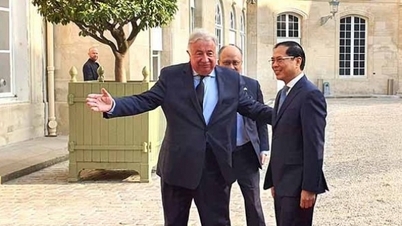 Việt Nam luôn coi trọng phát triển quan hệ toàn diện với Pháp