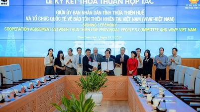 WWF-Việt Nam ký kết thỏa thuận hợp tác với Thừa Thiên Huế