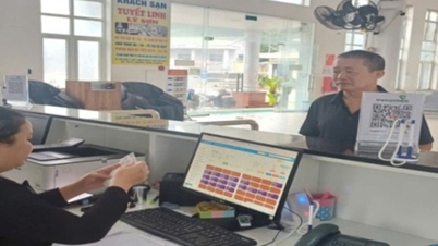 Hơn 23 nghìn người cao tuổi, khuyết tật ở Quảng Ngãi được miễn, giảm vé tàu thuỷ