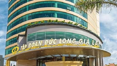 Duc Long Gia Lai's profit increased by 15.6 billion VND after audit