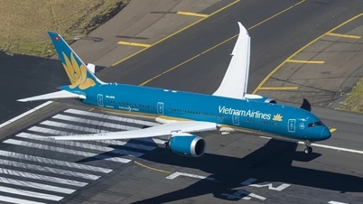 Vietnam Airlines hoãn họp đại hội cổ đông