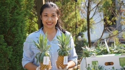ទីផ្សារកសិកម្មសរីរាង្គពិសេសនៅទីក្រុង Thanh Hoa