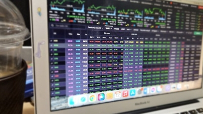 Which stocks are the money flowing into?