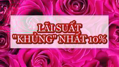 Cập nhật trọn bộ lãi suất cao nhất tháng 3