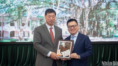 Expanding cooperation between Nhan Dan Newspaper and Yonhap News Agency