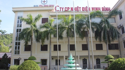 Vi phạm về thuế, Nhiệt điện Ninh Bình bị xử phạt, truy thu gần 4,7 tỷ đồng