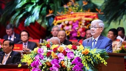 លោក Do Van Chien កាន់តំណែងជាប្រធានគណៈកម្មាធិការមជ្ឈិមរណសិរ្សមាតុភូមិវៀតណាមអាណត្តិទី១០។