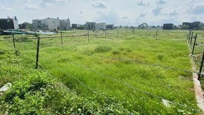 Đề xuất miễn thuế sử dụng đất nông nghiệp đến hết 2030