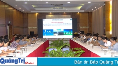 ផ្តល់ការណែនាំអំពីការឆ្លើយតបនឹងការប្រែប្រួលអាកាសធាតុនៅខេត្ត Quang Tri