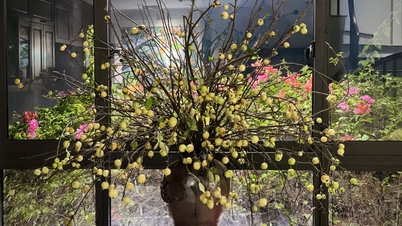 Arreglo frutal único para dar la bienvenida al Festival del Medio Otoño