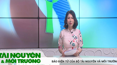 Bản tin Truyền hình Tài nguyên và Môi trường số 29/2023 (số 311)