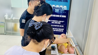Xu hướng 'ngại' sinh con, dự báo dân số Việt Nam tăng trưởng âm