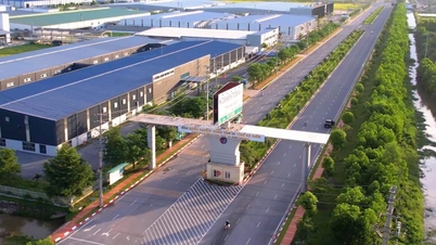 Chính phủ chấp thuận chủ trương đầu tư dự án kết cấu hạ tầng khu công nghiệp Kim Bảng I