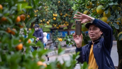 Dự báo thời tiết ngày 5/2/2024: Miền Bắc nắng ấm trước khi không khí lạnh ùa về