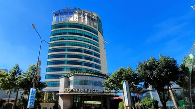 Duc Long Gia Lai shares were sold off after information about bankruptcy proceedings being opened.