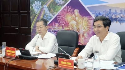 Da Nang tourism reaps sweet fruits