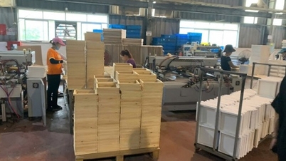Proactively preventing storms, Nam Cau Kien Industrial Park has minimized damage caused by storm No. 3.