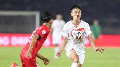 'Vietnam team can be as strong as Japan and Korea'