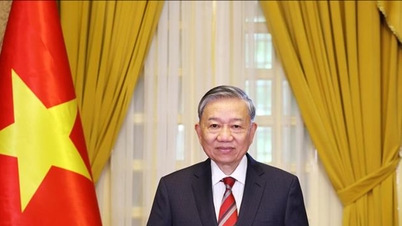 Tổng Bí thư, Chủ tịch nước Tô Lâm sẽ tham dự khóa họp 79 Đại hội đồng Liên hợp quốc và thăm cấp Nhà nước tới Cuba