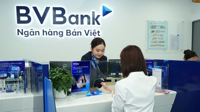 BVBank ហៀបនឹងចេញភាគហ៊ុនចំនួន 69 លាន ដើម្បីបង្កើនដើមទុនធម្មនុញ្ញ។