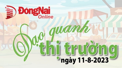 ដំណើរកំសាន្តផ្សារ 11-8-2023