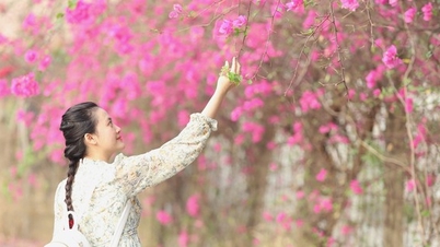 ផ្លូវ bougainvillea ដ៏គួរឱ្យភ្ញាក់ផ្អើលដែលឆ្ពោះទៅសាកលវិទ្យាល័យជាតិទីក្រុងហូជីមិញ