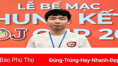 Thí sinh có kết quả cao nhất Đoàn Việt Nam tại Kỳ thi Olympic Tin học Châu Á