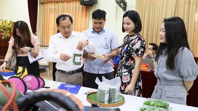 ស្រុក Thuong Tin៖ ផលិតផលចំនួន ៤៨ ត្រូវបានវាយតម្លៃ OCOP ផ្កាយ 3