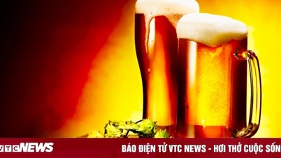 Biến đổi khí hậu có thể làm giảm chất lượng bia