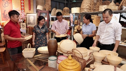 ធនាគារគោលនយោបាយសង្គមនៃស្រុកជួងខ្ញុំ៖ ការផ្លាស់ប្តូរដោយសារការអនុវត្តប្រកបដោយប្រសិទ្ធភាពនៃសេចក្តីបង្គាប់លេខ ៤០ (វគ្គ ៣)