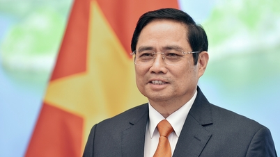 Prime Minister Pham Minh Chinh had a phone call with the Prime Minister of the Netherlands