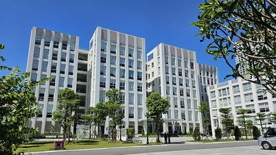 Học viện Ngoại giao dành 70% chỉ tiêu xét kết hợp